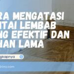 Cara Mengatasi Lantai Lembab