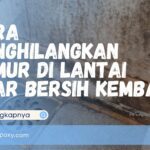 Cara Menghilangkan Jamur di Lantai
