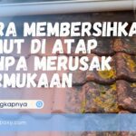 Cara Membersihkan Lumut di Atap