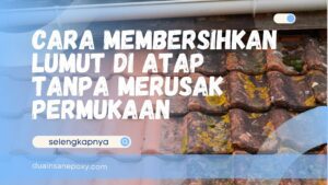 Cara Membersihkan Lumut di Atap