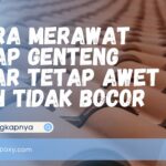 Cara Merawat Atap Genteng